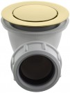 Honey Gold thumbnail
